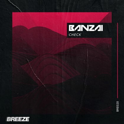 Check album by Banzai - Drum and Bass Cover Art