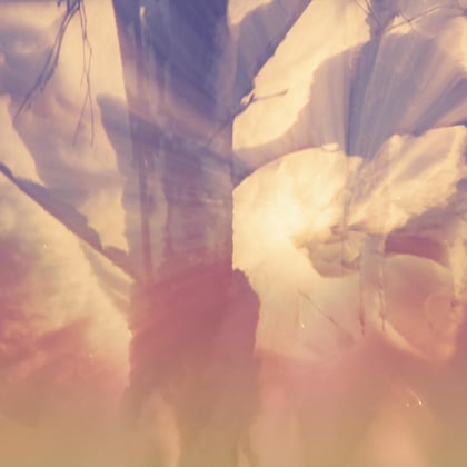Broken Leaf album by Muffler - Drum and Bass Cover Art
