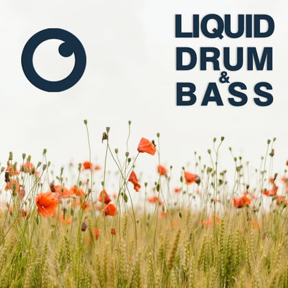 Liquid Drum & Bass Sessions 2021 Vol 43 : The Mix album by Dreazz - Drum and Bass Cover Art