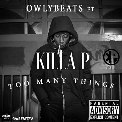 Too Many Things album by Kasra & Owlybeats - Drum and Bass Cover Art