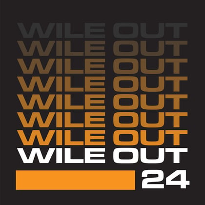 Wile Out 24 (Edit) album by DJ Zinc - Drum and Bass Cover Art