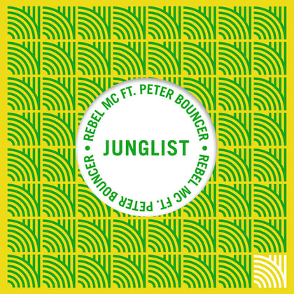 Junglist album by Rebel MC - Drum and Bass Cover Art