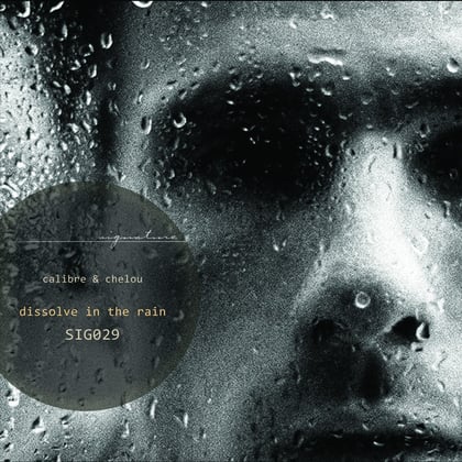 Dissolve In The Rain album by Calibre - Drum and Bass Cover Art