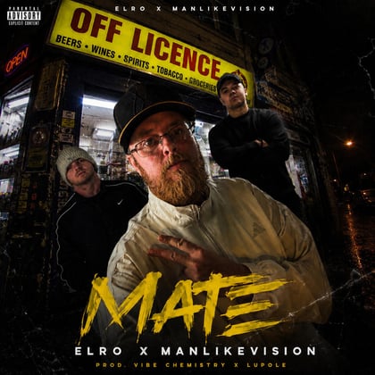 Mate album by Vibe Chemistry, Elro, MANLIKEVISION & Lupole - Drum and Bass Cover Art