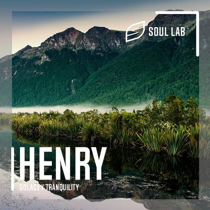 Solace / Tranquility (Original) album by Henry - Drum and Bass Cover Art