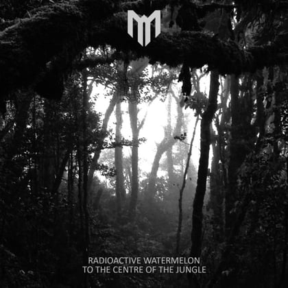 To The Centre Of The Jungle album by Radioactive Watermelon - Drum and Bass Cover Art