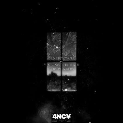 Visions Through The Window album by Sentic Cycle - Drum and Bass Cover Art