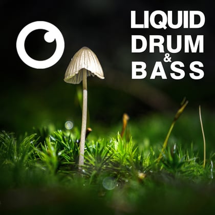 Liquid Drum & Bass Sessions 2020 Vol 30 : The Mix album by Dreazz - Drum and Bass Cover Art