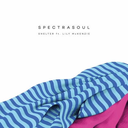 Shelter (feat. Lily McKenzie) album by SpectraSoul - Drum and Bass Cover Art