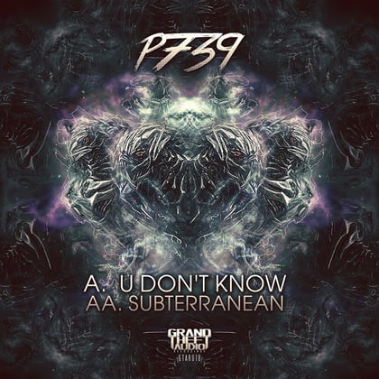 U Don't Know // Subterranean album by P739 - Drum and Bass Cover Art