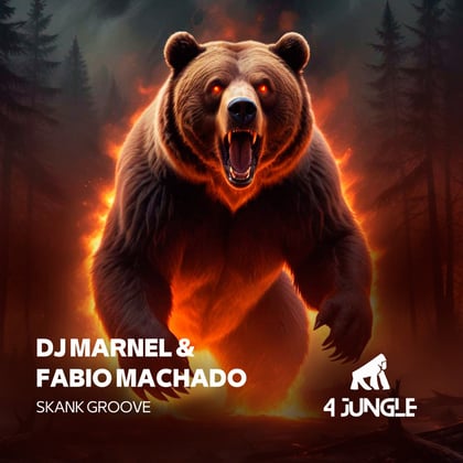 Skank Groove album by DJ Marnel - Drum and Bass Cover Art