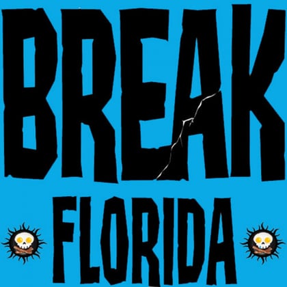 Break Florida 4 album by Skynet - Drum and Bass Cover Art