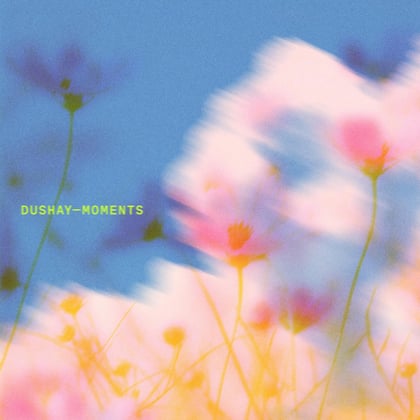 Moments album by Dushay - Drum and Bass Cover Art
