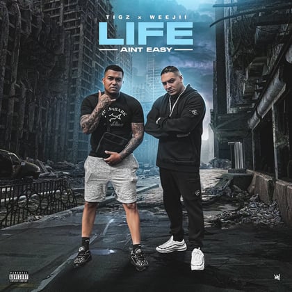 Life Aint Easy album by Weejii - Drum and Bass Cover Art
