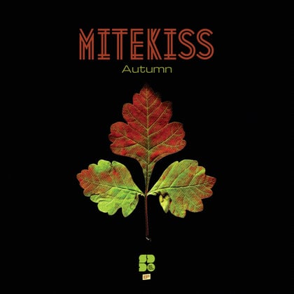 Autumn album by Mitekiss - Drum and Bass Cover Art