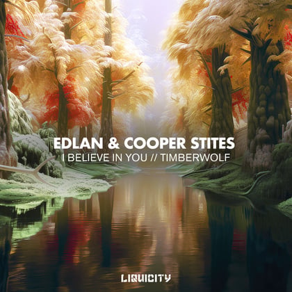 I Believe In You / Timberwolf album by Edlan - Drum and Bass Cover Art