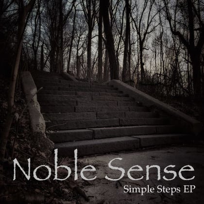 Simple Steps album by Noble Sense - Drum and Bass Cover Art