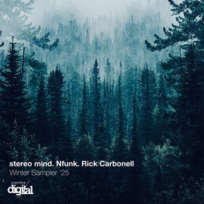 Winter Sampler '25 album by Nfunk - Drum and Bass Cover Art