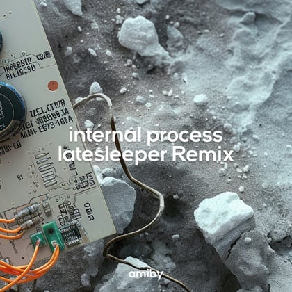 Internal Process (latesleeper Remix) album by latesleeper - Drum and Bass Cover Art