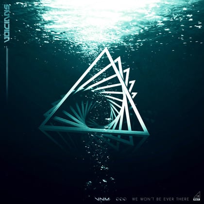 We Won't Be Ever There album by Voicians - Drum and Bass Cover Art