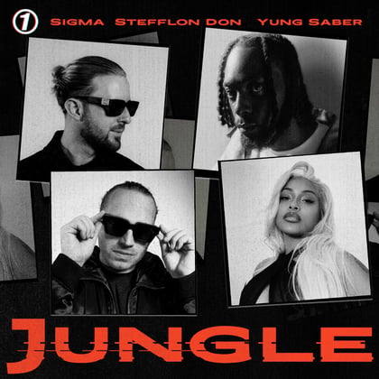 JUNGLE album by Sigma - Drum and Bass Cover Art