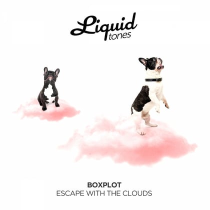 Escape with the Clouds album by Boxplot - Drum and Bass Cover Art