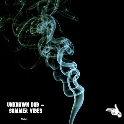 Summer Vibes album by Unkn0wn Dub - Drum and Bass Cover Art