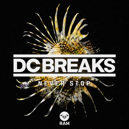 Never Stop album by DC Breaks - Drum and Bass Cover Art