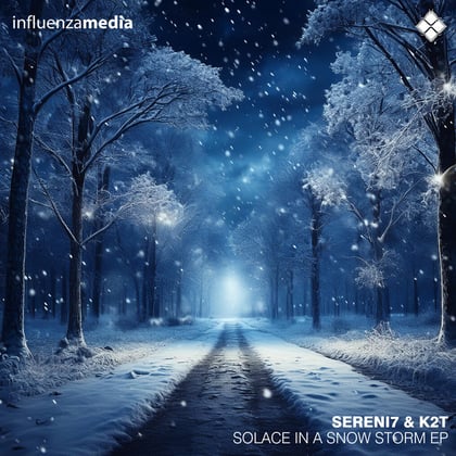 Solace In a Snow Storm EP album by K2T - Drum and Bass Cover Art