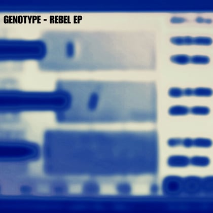 Rebel album by Genotype - Drum and Bass Cover Art