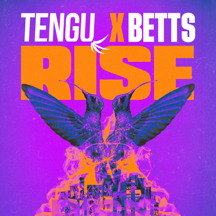 Rise album by Tengu - Drum and Bass Cover Art