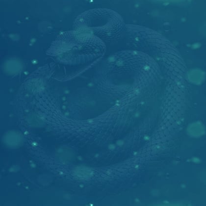 Viper album by Point/Blank - Drum and Bass Cover Art