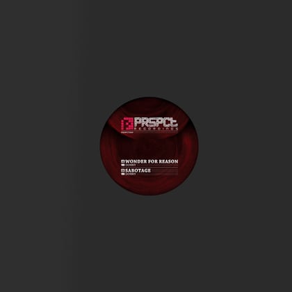 Wonder For Reason album by Donny - Drum and Bass Cover Art