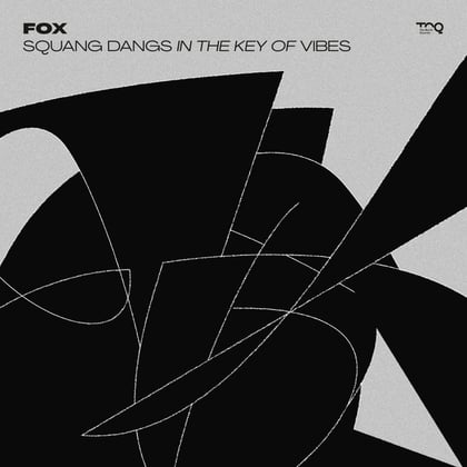 Squang Dangs in the Key of Vibes album by Fox - Drum and Bass Cover Art