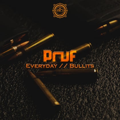 Everyday / Bullit album by Pruf - Drum and Bass Cover Art