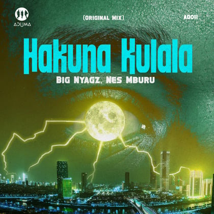 Hakuna Kulala album by Tengu & Big Nyagz - Drum and Bass Cover Art