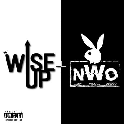 Wise Up /N.W.O album by MAV - Drum and Bass Cover Art