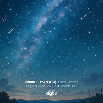 Starlit Dreams album by Nfunk - Drum and Bass Cover Art