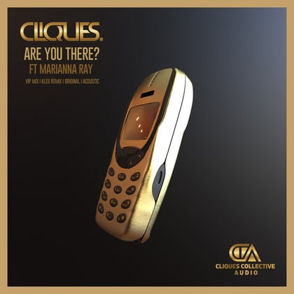 Are You There? album by CLIQUES. & Kleu - Drum and Bass Cover Art