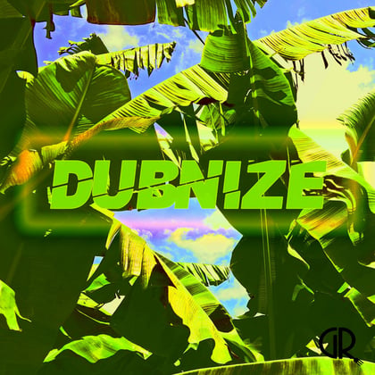 Dubnize album by Aaron Loxx - Drum and Bass Cover Art