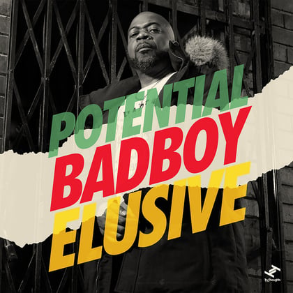 Elusive album by Potential Badboy - Drum and Bass Cover Art