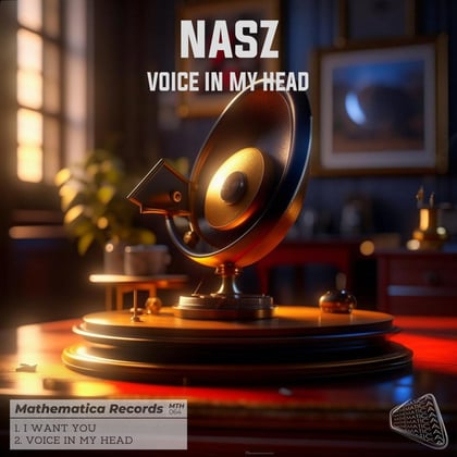 Voice In My Head album by Nasz - Drum and Bass Cover Art