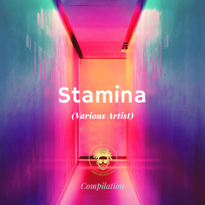 Stamina album by Benny Page, FFF, Bladerunner, Aries, Jayline & Stivs - Drum and Bass Cover Art