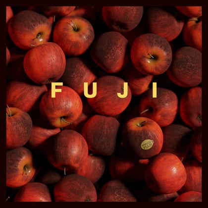 Fuji album by Black Sun Empire & IMANU - Drum and Bass Cover Art