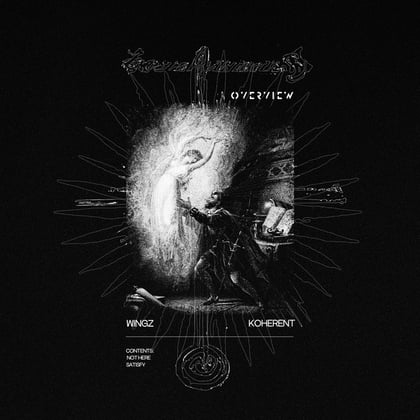 Not Here / Satisfy album by Wingz & Koherent - Drum and Bass Cover Art
