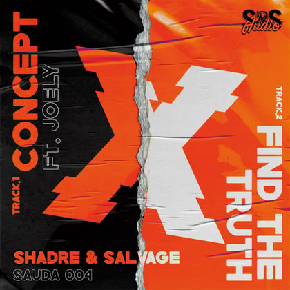 Concept & Find The Truth album by Shadre & Salvage - Drum and Bass Cover Art
