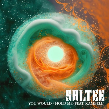 You Would / Hold Me album by Saltee - Drum and Bass Cover Art
