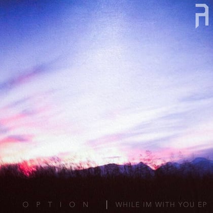 While I'm With You album by Option - Drum and Bass Cover Art