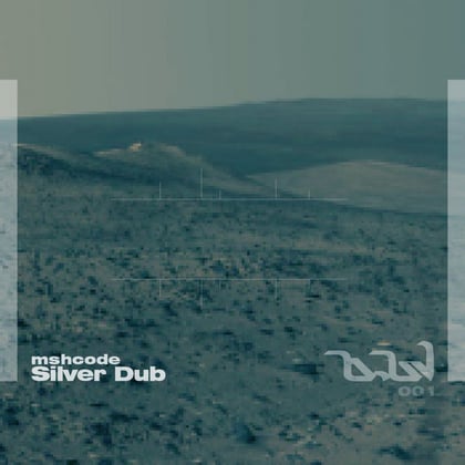 Silver Dub album by Mshcode - Drum and Bass Cover Art