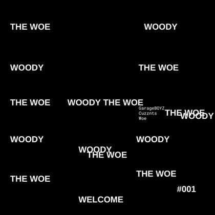 THE WOE album by Woody - Drum and Bass Cover Art